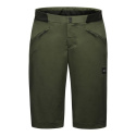 GORE Fernflow Shorts Mens