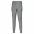 MIZUNO Training Pant / Gray melange /