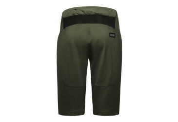 GORE Fernflow Shorts Mens