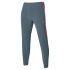 MIZUNO Charge Printed Pant / Turbulence /