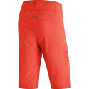 GORE Wear Passion Shorts Mens