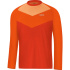 GORE C5 Trail Long Sleeve Jersey-orange.com