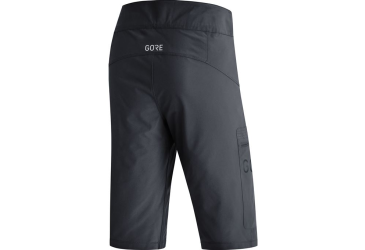 GORE Wear Passion Shorts Mens