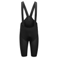 GORE Fernflow Liner Bib Shorts+ Mens black