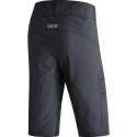 GORE Wear Passion Shorts Mens