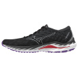 MIZUNO WAVE INSPIRE 19