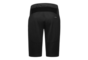 GORE Fernflow Shorts Mens